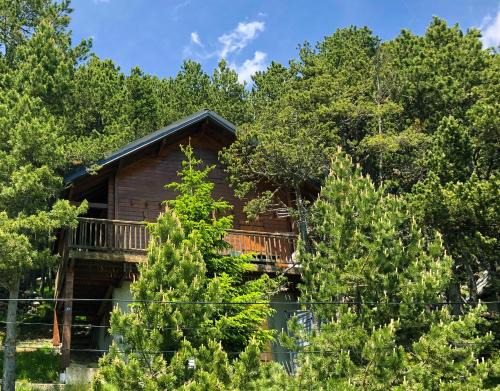 Chalet Vue sous cet Angles