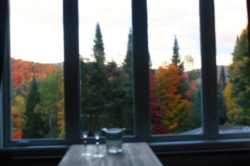 Chalets et Studios Le Vent Du Nord