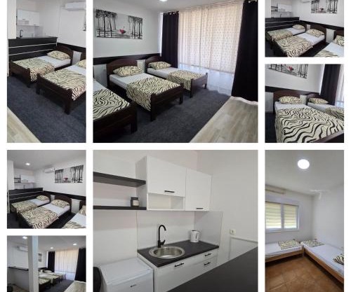 Champion APARTMAN Potoci M17