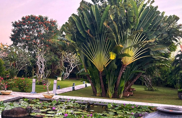 Charm villa with lush garden and peaceful retreat steps from the beach