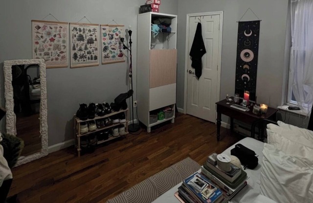 Charming 1-bedroom in a converted 2-bed, w/office WiFi, AC in amazing Brooklyn