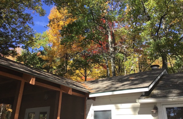 Charming 2-bedroom cottage on beautiful Bear Lake with WiFi and AC in Kalkaska.