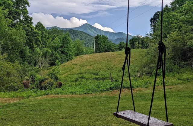 Charming 2-bedroom horse farm chalet in peaceful Candler, Mt Pisgah views