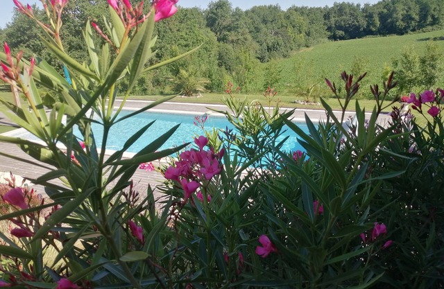 Charming 4-person gîte in a relaxing setting with heated swimming pool and pond
