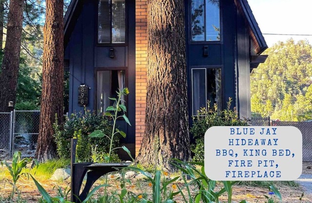 Charming Cabin | Kid & Pet Friendly, Wood Burning Fireplace