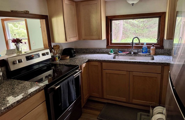 Charming cabin,Lake access, Serene setting! Backyard bubbling brook!Pets welcome