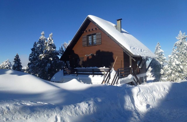 Charming chalet sleeps 10, at the foot of the pistes (Pierre St Martin)