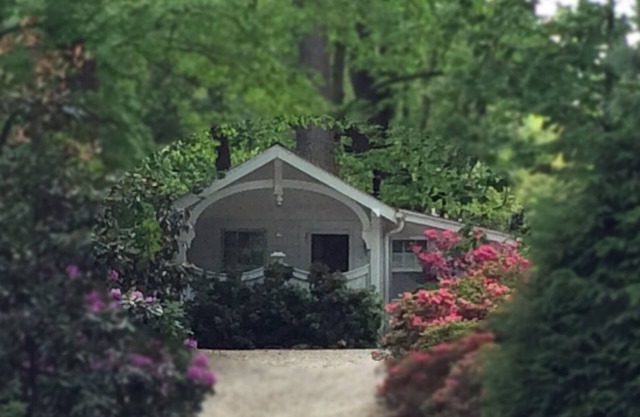 Charming, Contemporary Cottage Conveniently Located In The Heart Of Asheville!