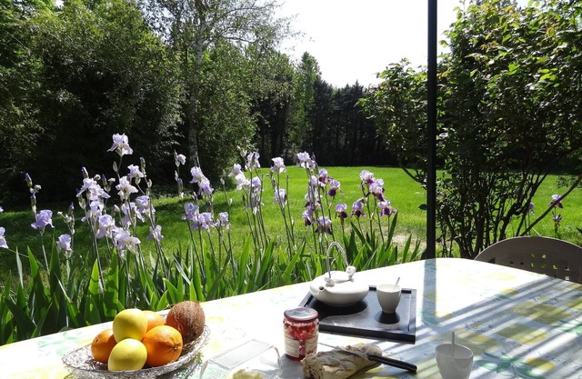 Charming cottage - private terrace overlooking the large wooded park