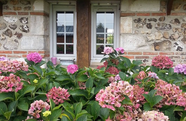 charming house on the plateau near the Seine