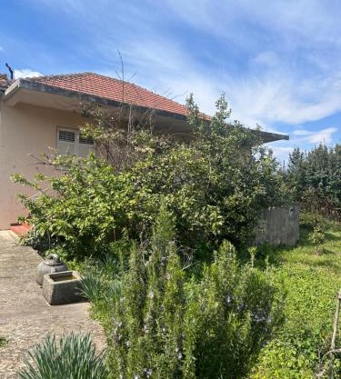 Charming house in Gošići