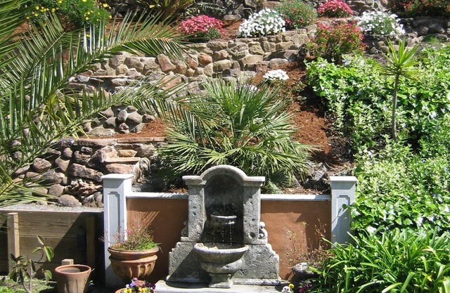 Charming, peaceful 1 Bedroom Mill Valley Cottage