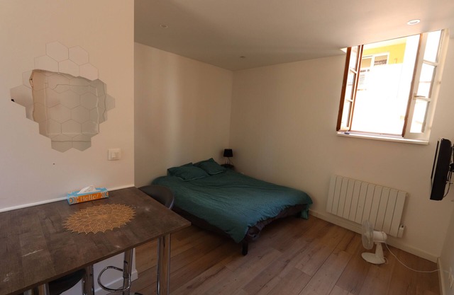 Charming renovated Studio in the center of Haguenau