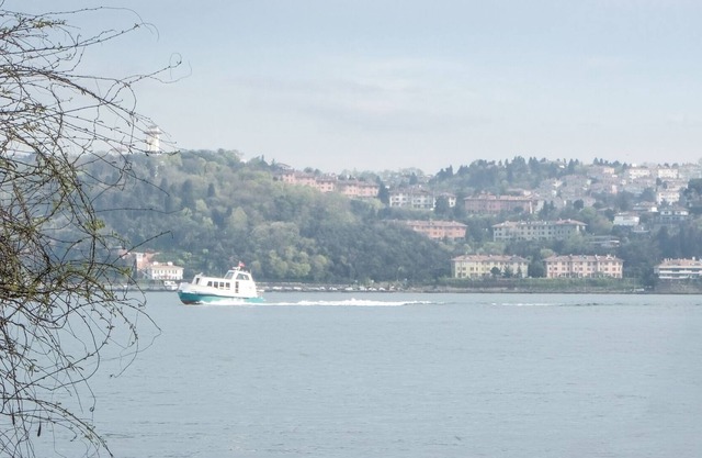 Charming Seaview Flat, Garden, 2min to Shore