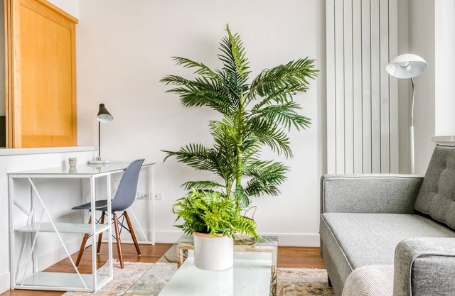 Charming Studio in SoMa, near BART + Top Tech HQs