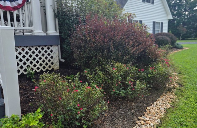 Charming studio in welcoming Dillwyn, near Farmville