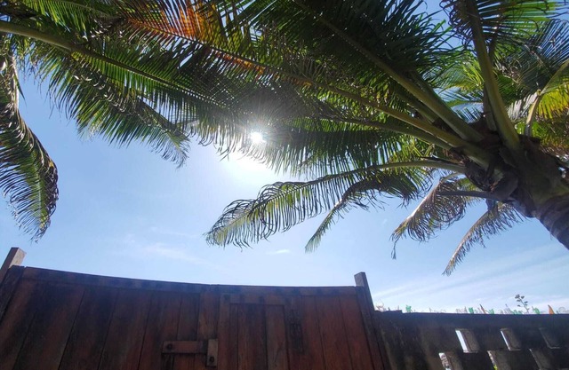 Charming 1-bedroom house in the tropical and serene Costa del Sol