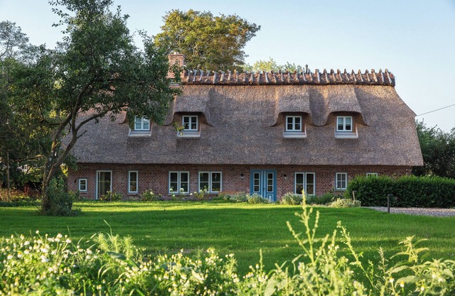 Charming thatched cottage on the edge of a field with fireplace