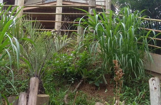 Cheap Season House in Praia do Rosa