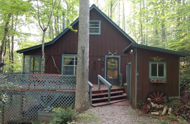 Chestnut Mountain Rustic Cabin Retreat - Dog Friendly!