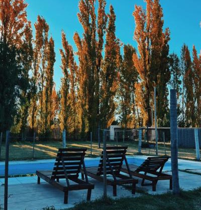 Ciruelos del Sur - San Rafael Mendoza