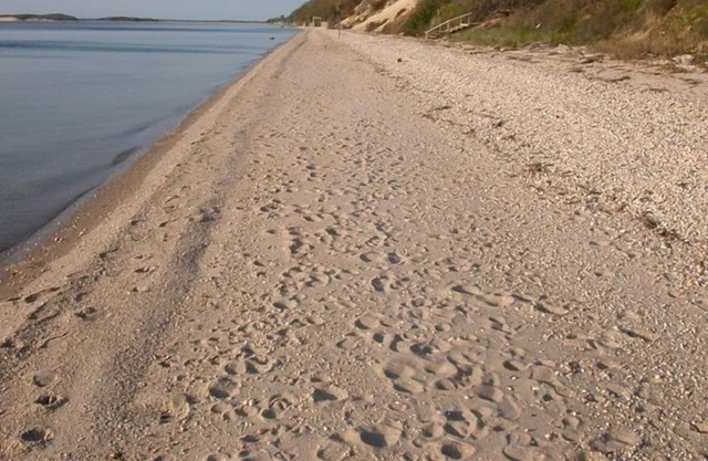 Classic Hamptons Beach Cottage
