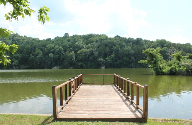 Clementine Cottage- Quiet Charming Cottage on Lincoln Lake