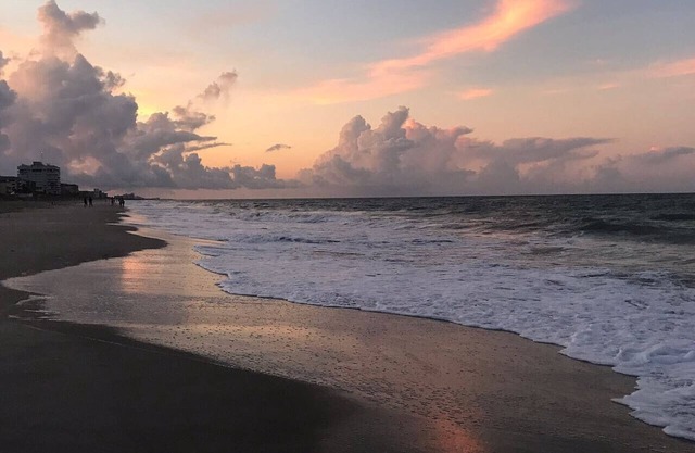 Coastal Cove