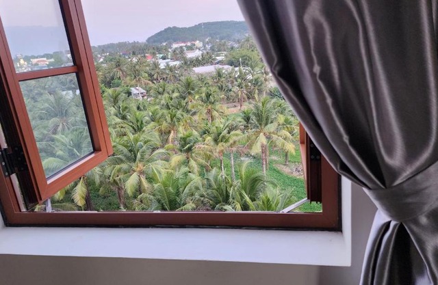 Coconut Garden