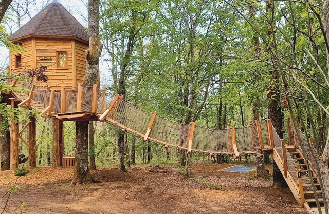 Cocoon cabin with spa in the trees