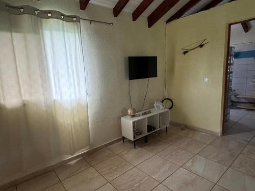 Colibri studio