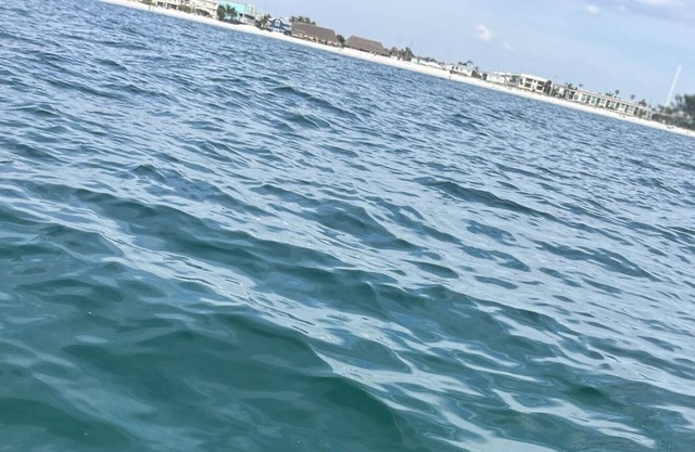 Come stay on the bay by the sea!