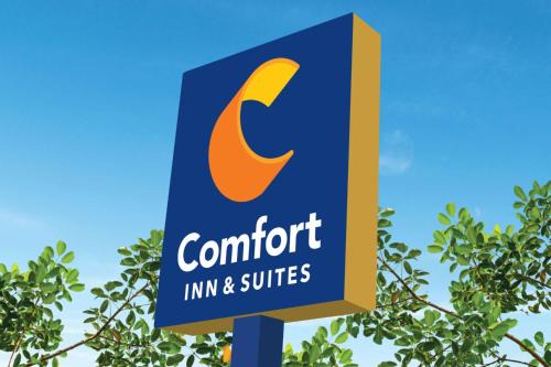 Comfort Inn & Suites Savannah Airport
