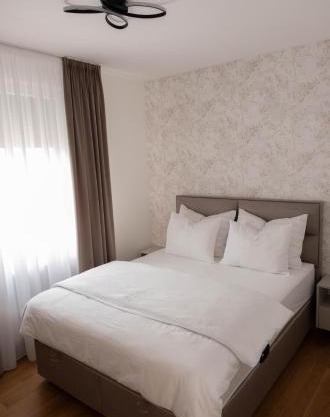 Comfort Zone Apartment