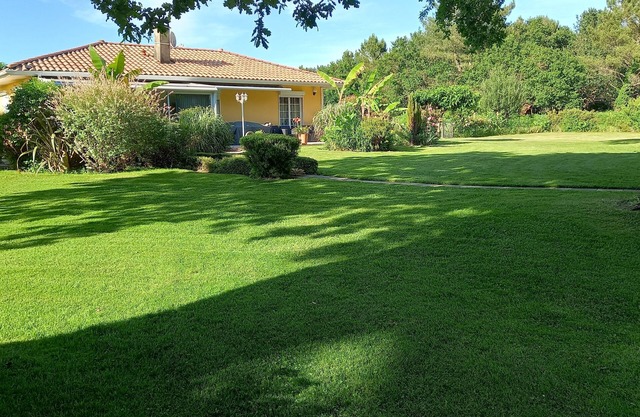 Comfortable house in an exceptionally quiet, leafy setting.