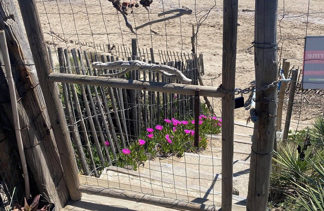 Comfortable chalet, ideally located, with direct beach access