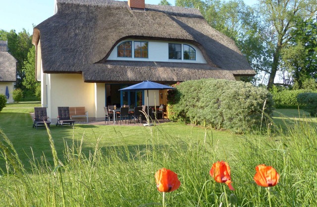 Comfortable thatched house Eibe 1 Sauna Fireplace Wallbox - DHH Eibe 1