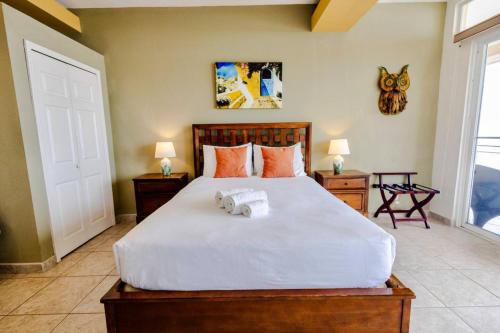 Conch Suite