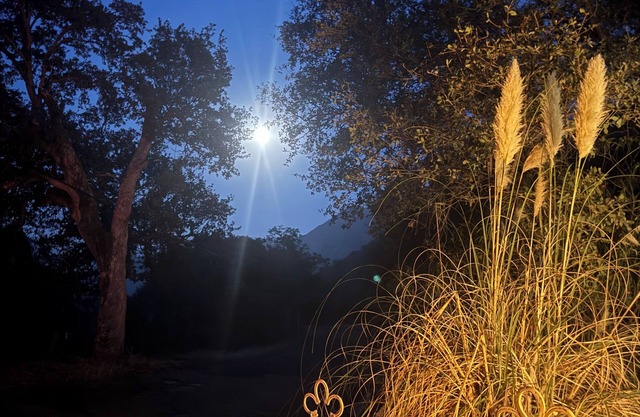 Contemporarycabin inthe wilderness ofSequoiaNP Great stargazing.Pets Kiddos Free
