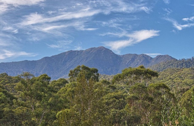 Cooinda Merrijig - Meaning 'Happy Place' - Perfect for two families.