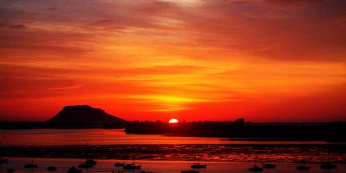 Coppelia Sunrise