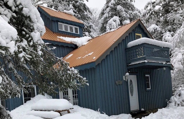 Copper Roof - Escape for Families & Furry Friends