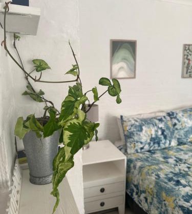Corner Cottage - All to yourself