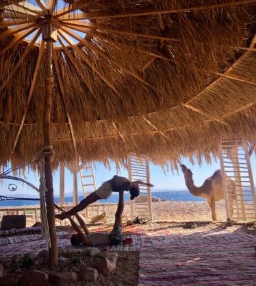 COSMOS nature Lodge and Spiritual community
