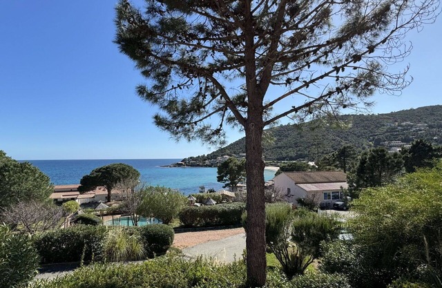 Cosy apartment for 4 people with WIFI, pool, A/C, terrace and pets allowed