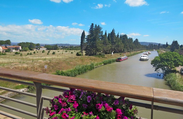 Cosy apartment for 5 guests with WIFI, pool, TV, terrace and pets allowed