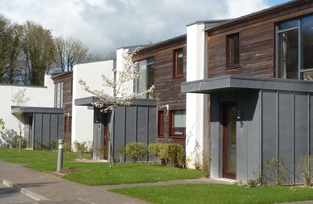 Cosy apartment for 4 guests with WIFI, TV and pets allowed
