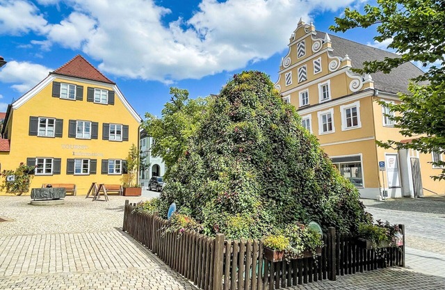 Cosy apartment in villa for 4 guests with WIFI, A/C, TV, terrace and pets allowed