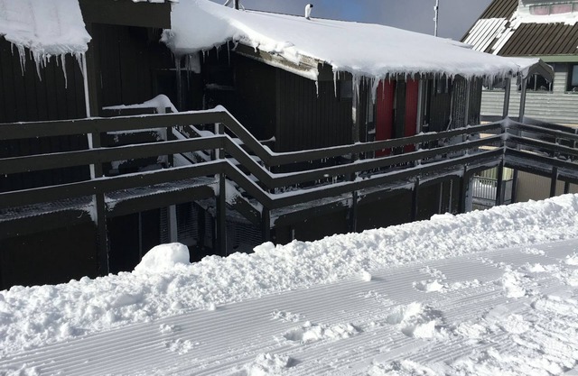 Cosy Mount Hotham Retreat