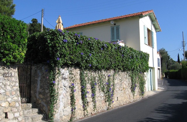 Côte d'Azur - Near Cannes, detached, charming holiday home with sea views